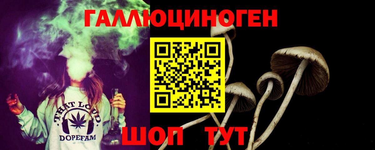 Уссурийск  Галлюциногенные грибы мухоморы  Вход с VPN 